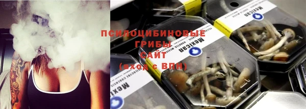 ешки Новокубанск