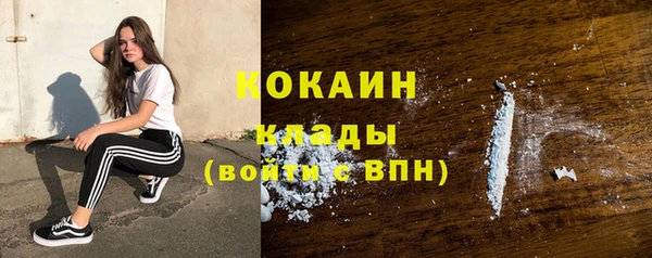 jwh Новозыбков
