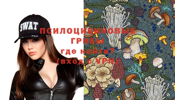 jwh Новозыбков