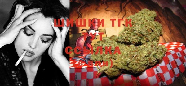 jwh Новозыбков